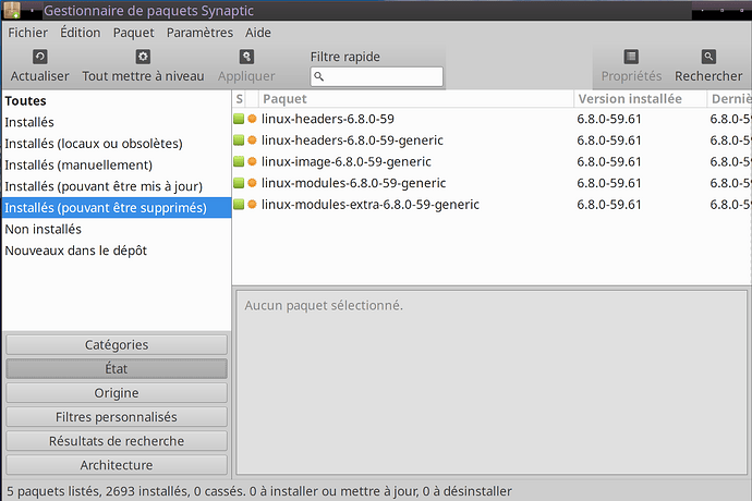 Ubuntu-24.04.2_what-can-be-removed-and-updated