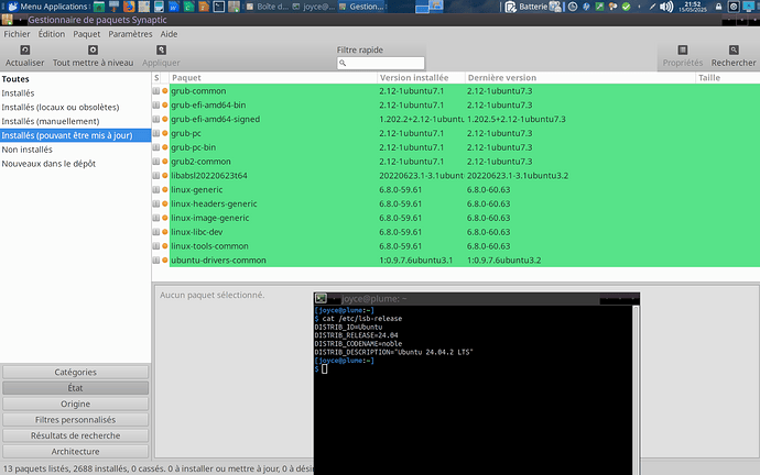 Ubuntu-24.04.2_2025-05-15